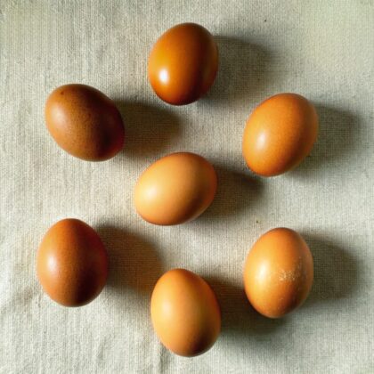 Huevos