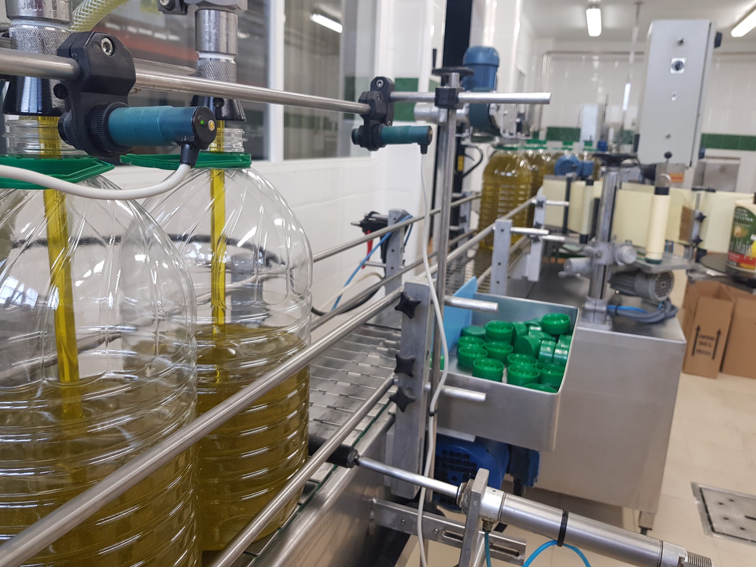 OleoMaja envasadora de aceite La Maja